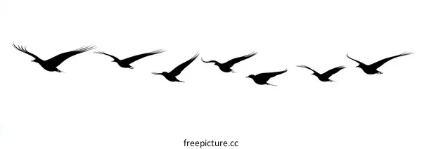 Silhouettes of Birds in Flight