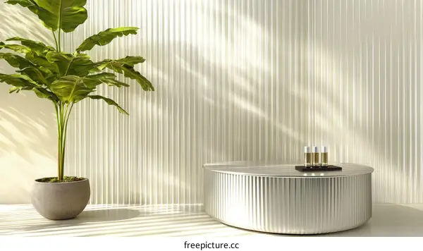 Modern Spa Interior Design with Plant