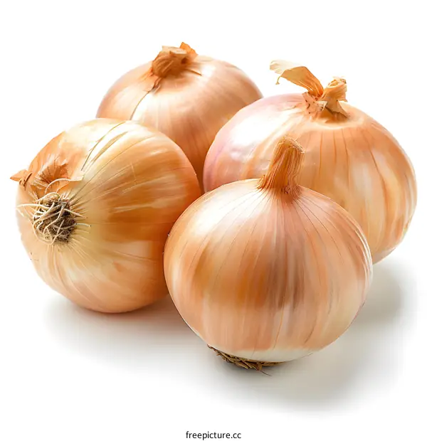 Four brown onions on a white background