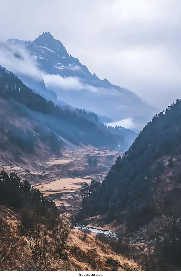 Mountain Valley Landscape With Mist And Fog