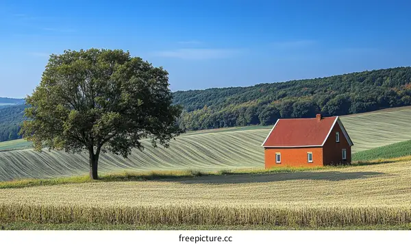 Tranquil Countryside House Amidst Rolling Hills