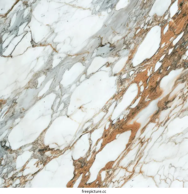 Elegant White Marble Texture with Brown Veins