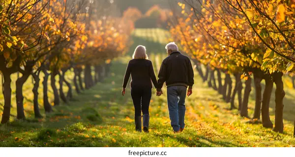 Couple Walking Through Autumn Trees