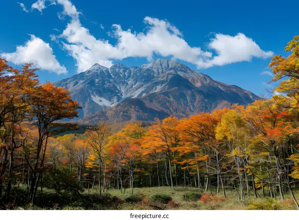 Autumn Leaves and Mountain Scenery in Japan