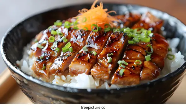 Close Up of Grilled Eel with Rice