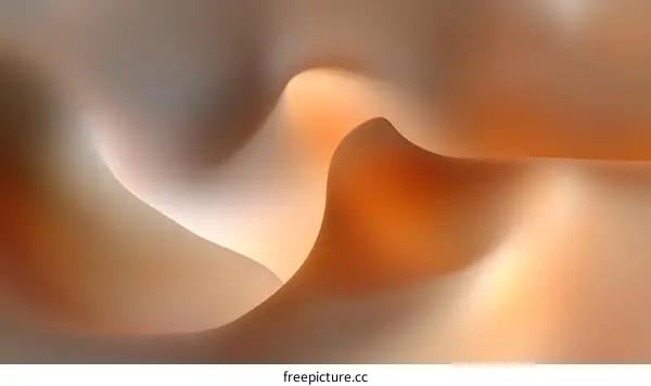 Abstract Gradient  Flowing Curves