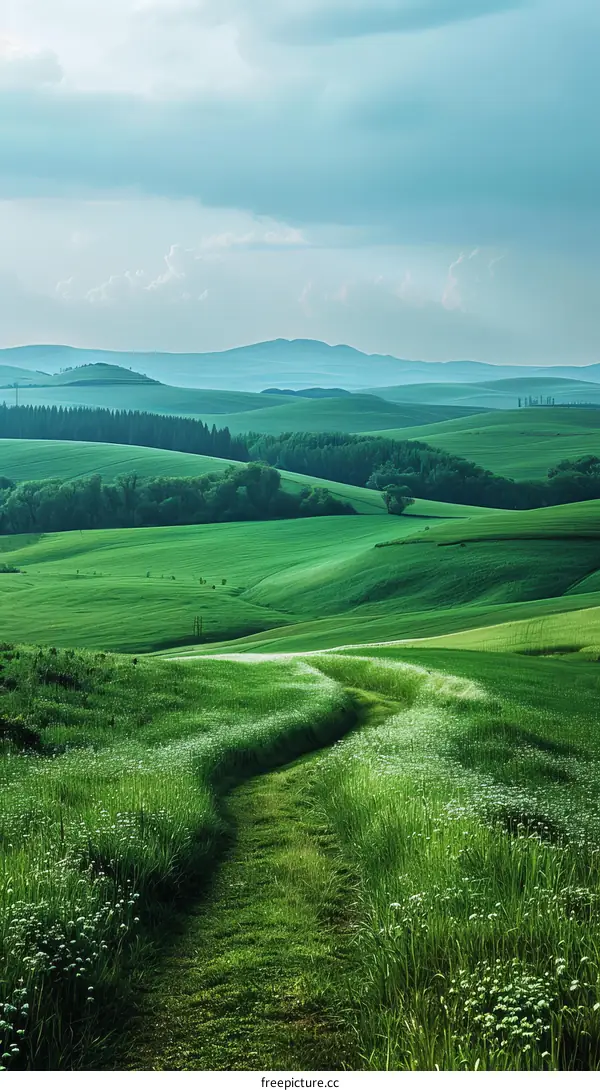 Green rolling hills with a path leading through them