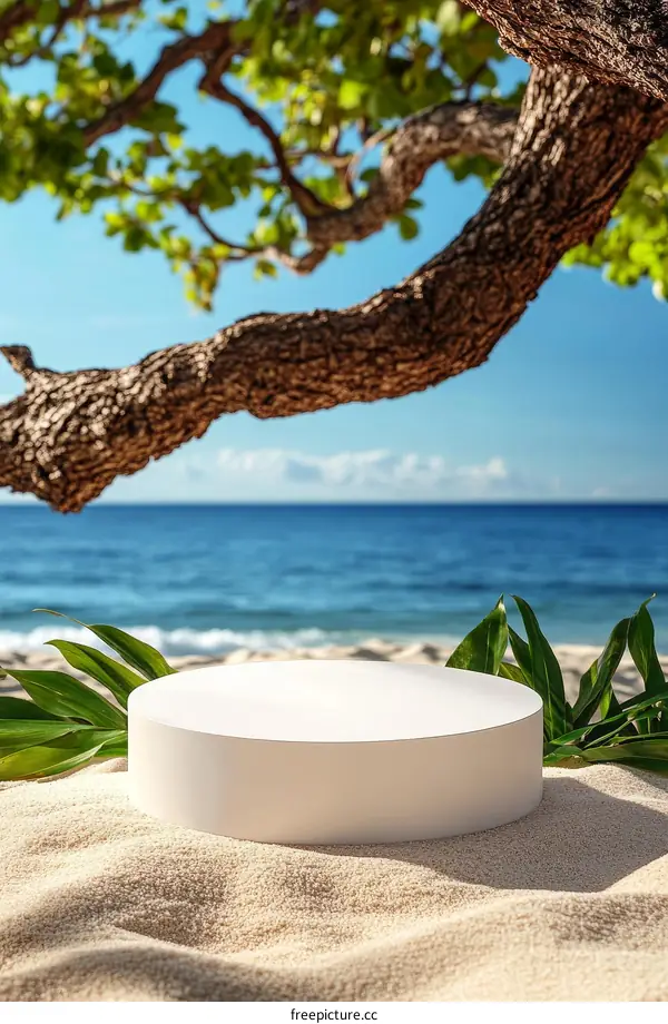 Empty White Display Stand on Sandy Beach Under Tree