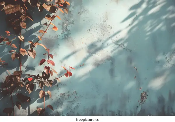 Grunge Teal Wall with Greenery and Sunlight