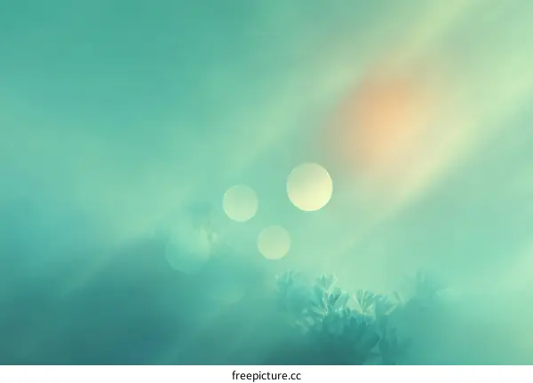 Soft Focus Teal Natural Background Illustration