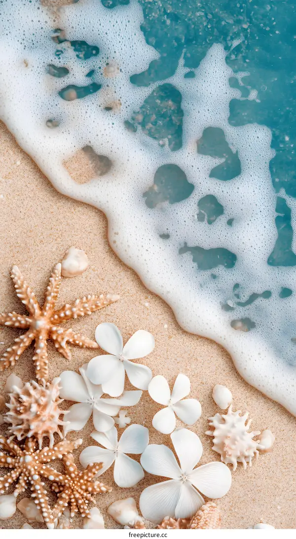 Beach Sand with White Flowers and Starfish