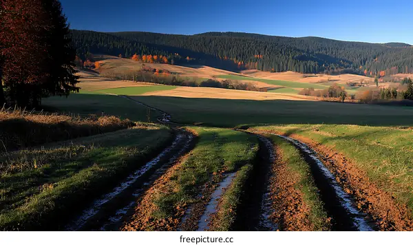 Autumnal Countryside Road Through Fields