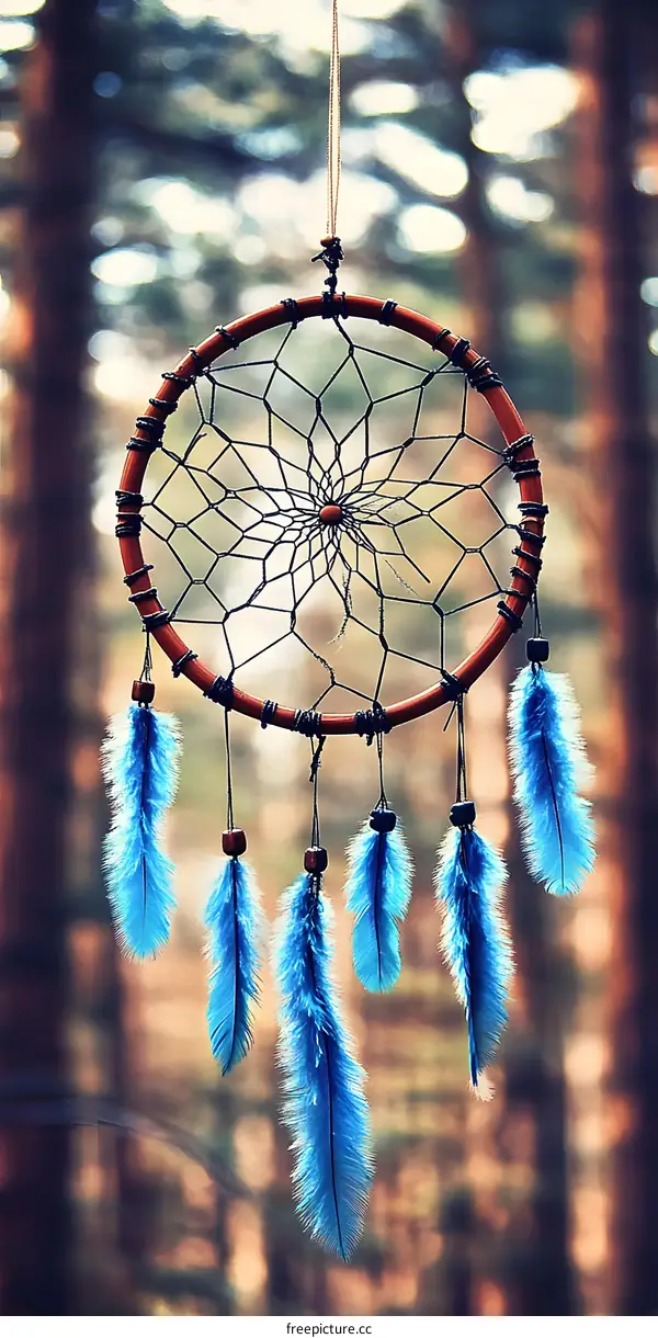 Dream Catcher With Blue Feathers Hanging In The Woods