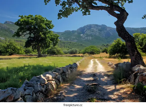 Stone Wall Path Leading to Mountain Landscape