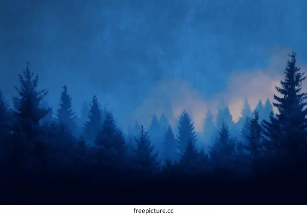 Misty Forest at Dawn