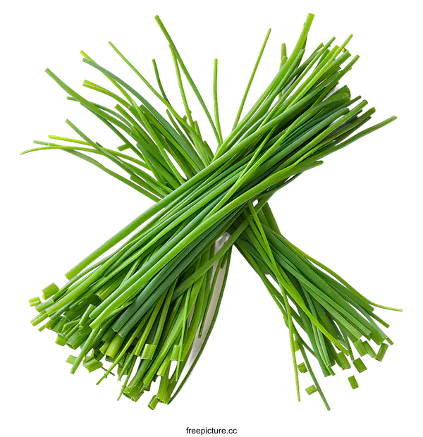[Transparent Background PNG]Freshly Cut Chives on White Background