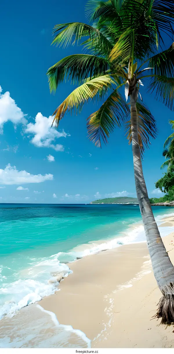 The beach is beautiful and the water is crystal clear.