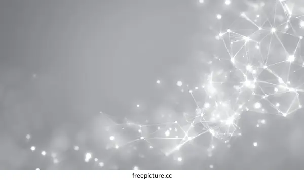Abstract Network Design of Light and Gray