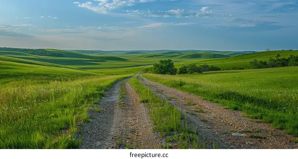 Dirt road through green rolling hills with sunset sky