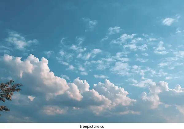 Beautiful Sky with Fluffy Clouds