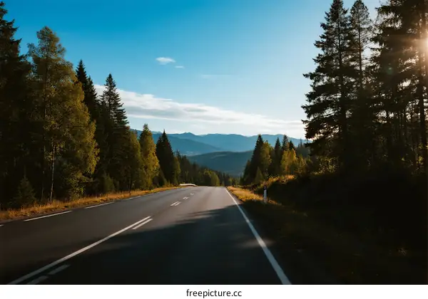 Scenic road through forest with mountains in the distance under clear sky