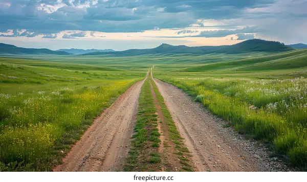 The dirt road through the green field under the blue sky