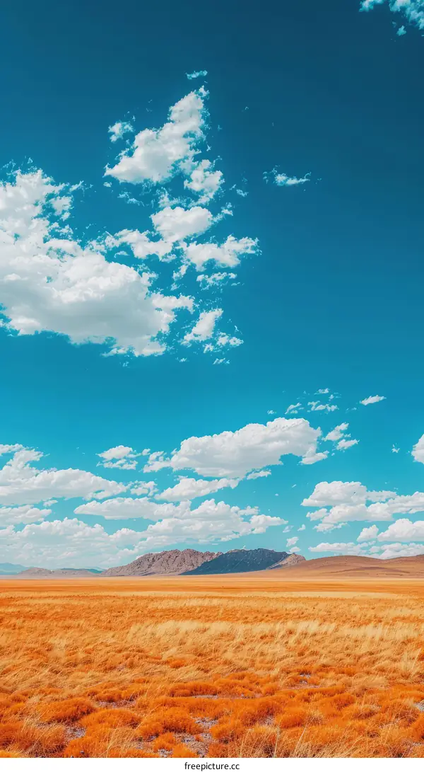Vast Desert Landscape with Distant Mountains