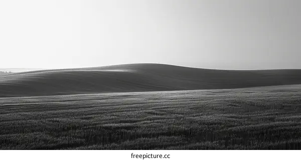 Black and white rural farmland landscape with hill and wheat field