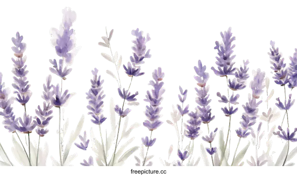 [Transparent Background PNG]Lavender Watercolor Floral Illustration
