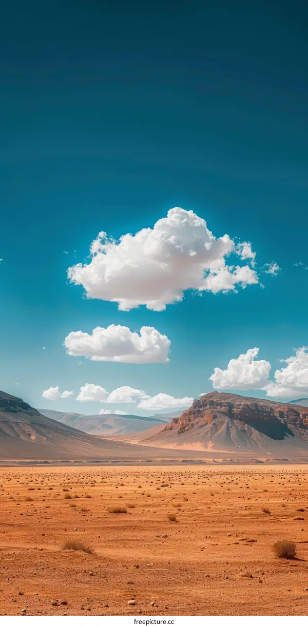 Desert with Mountain Range and Cloudscape