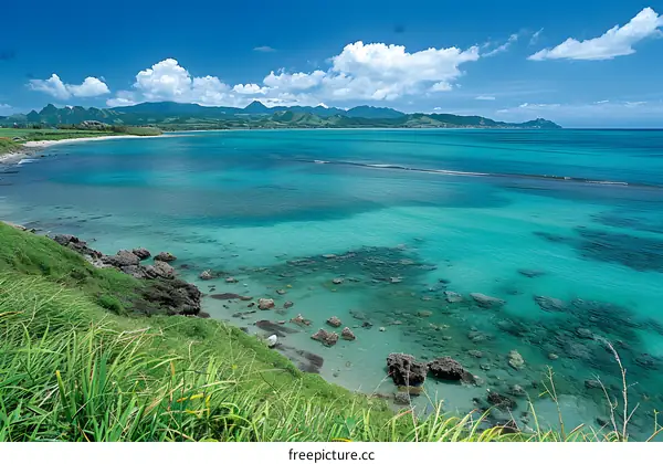 Beautiful seascape with coral and blue water