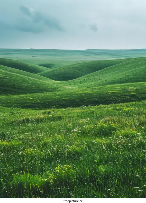 Picturesque green rolling hills under cloudy sky