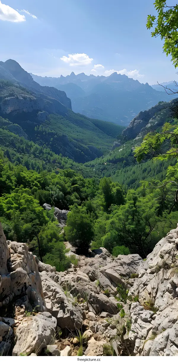 A verdant valley between rocky mountains