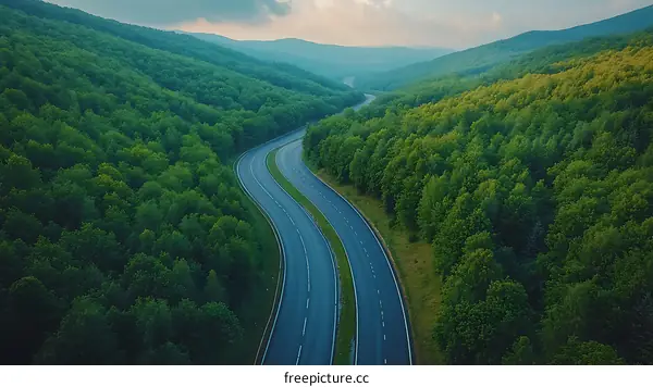 Serpentine Road Winding Through Lush Forest