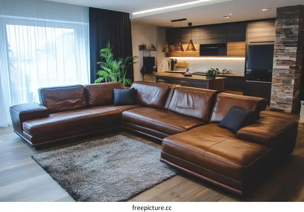 Modern Living Room with Brown Leather Sectional Sofa