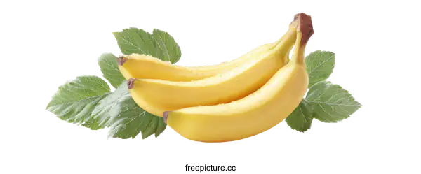 [Transparent Background PNG]Fresh Bananas with Leaves on White Background