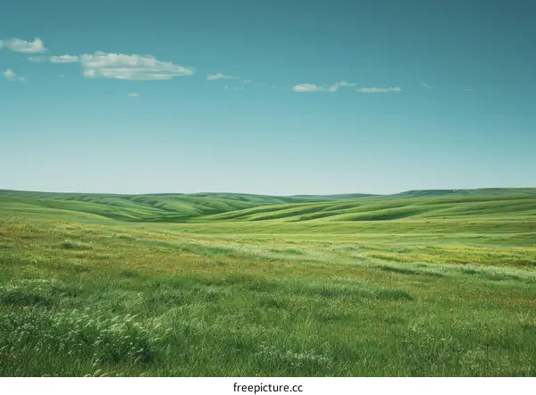 Vast green rolling hills under blue sky with white clouds