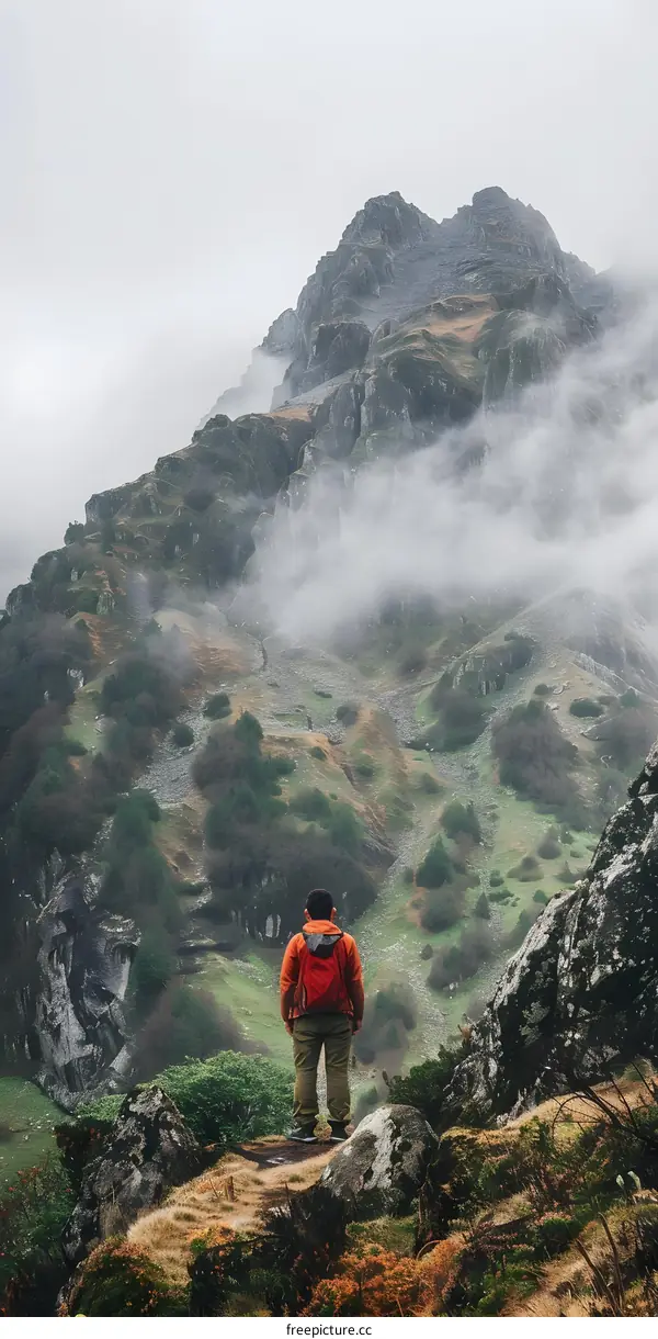Man Standing On Mountain With Fog
