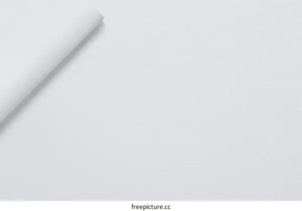 Blank White Paper Texture Close-up