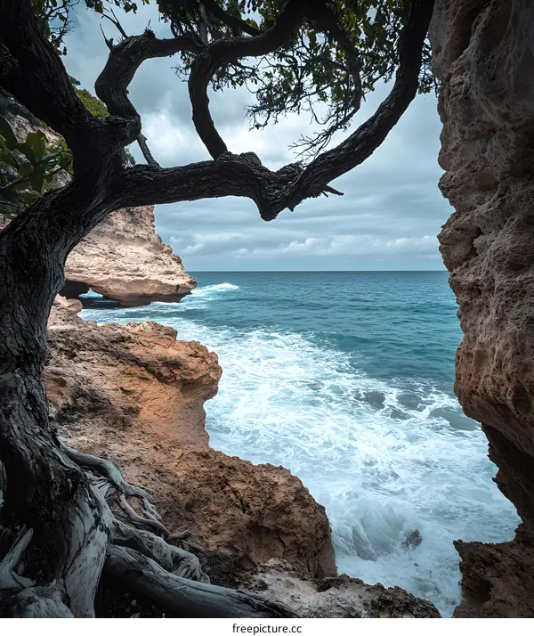 Ocean View Through Tree Branches And Rocky Cliffs