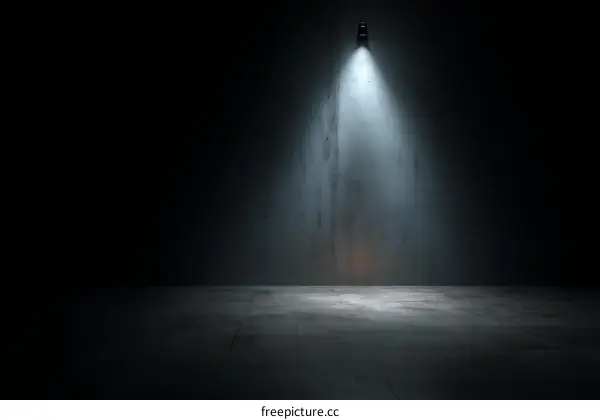 Empty Dark Concrete Room with Spotlight
