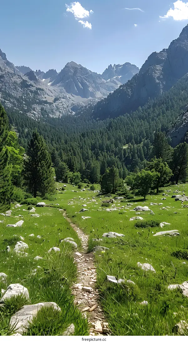 The trekking path in the valley between mountains