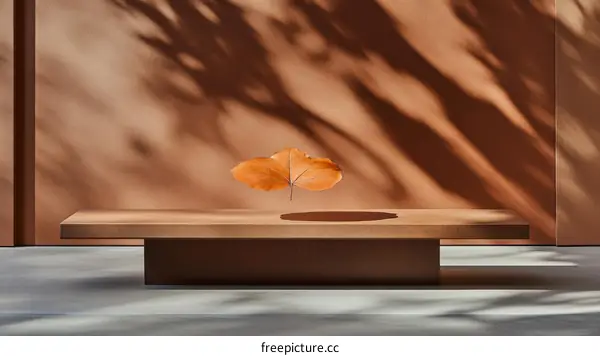 Autumnal Leaf on a Minimalist Wooden Bench