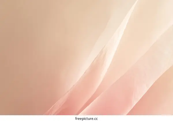 Delicate Pastel Fabric Texture