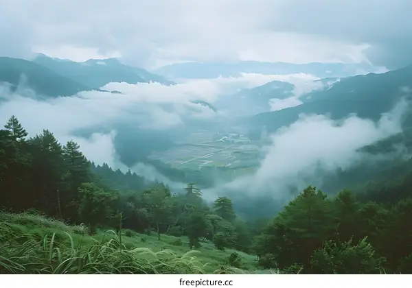 Mountain Valley View with Clouds and Trees