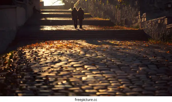 Cobblestone Path with Autumn Leaves in Sunlight