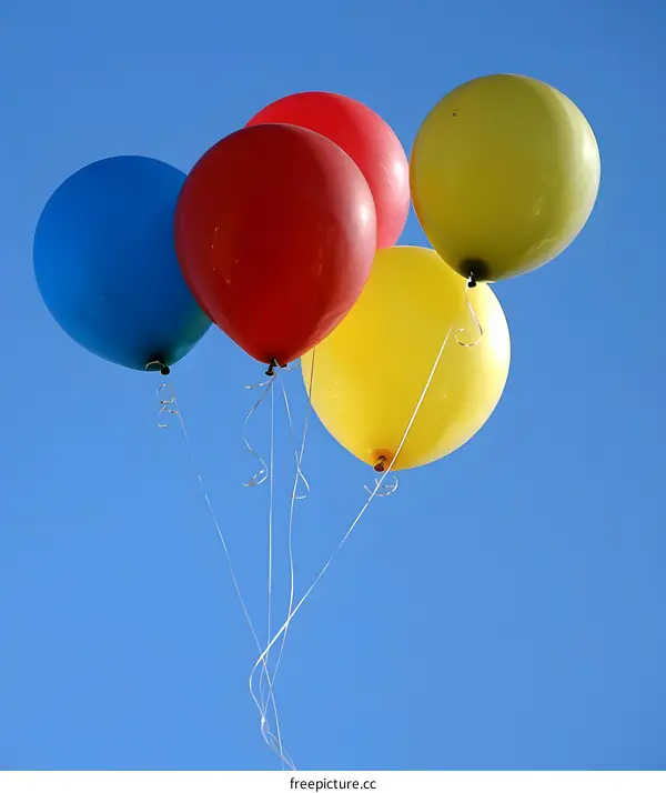 Colorful Balloons Floating in a Blue Sky