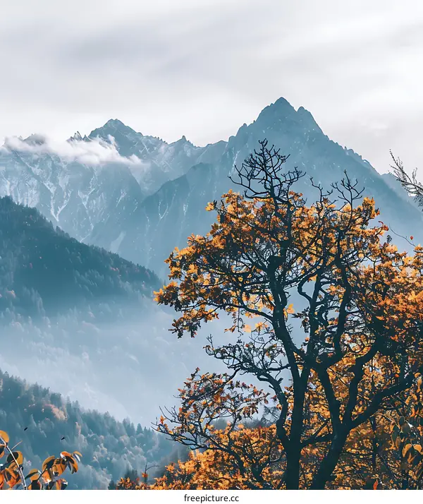 Autumn Foliage With Mountain Range Background
