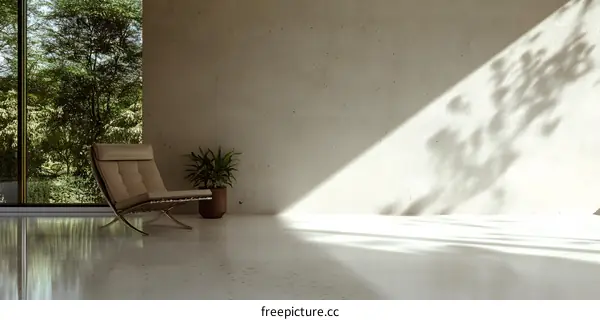 Minimalist Interior Design with a Window View of Trees and Sunlight