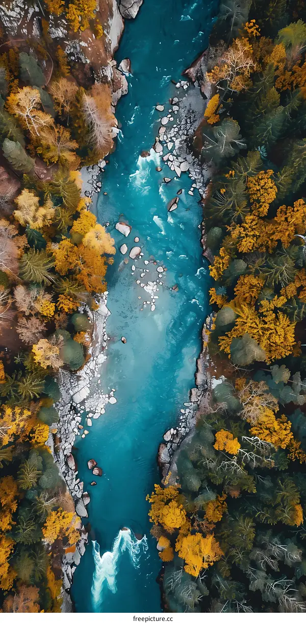 Aerial View of River Flowing Through Autumn Forest